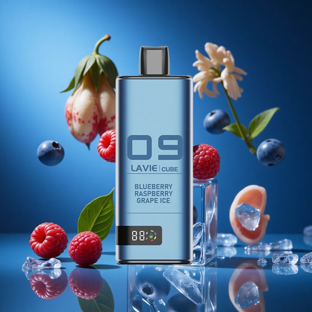 Lavie Cube 20000 Puffs Za enkratno uporabo Vape Borovnica Malina Grozdje Led Slovenija vapes