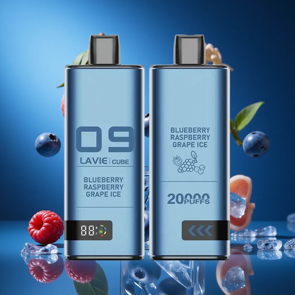 Lavie Cube 20000 Puffs Za enkratno uporabo Vape Borovnica Malina Grozdje Led Slovenija vapes