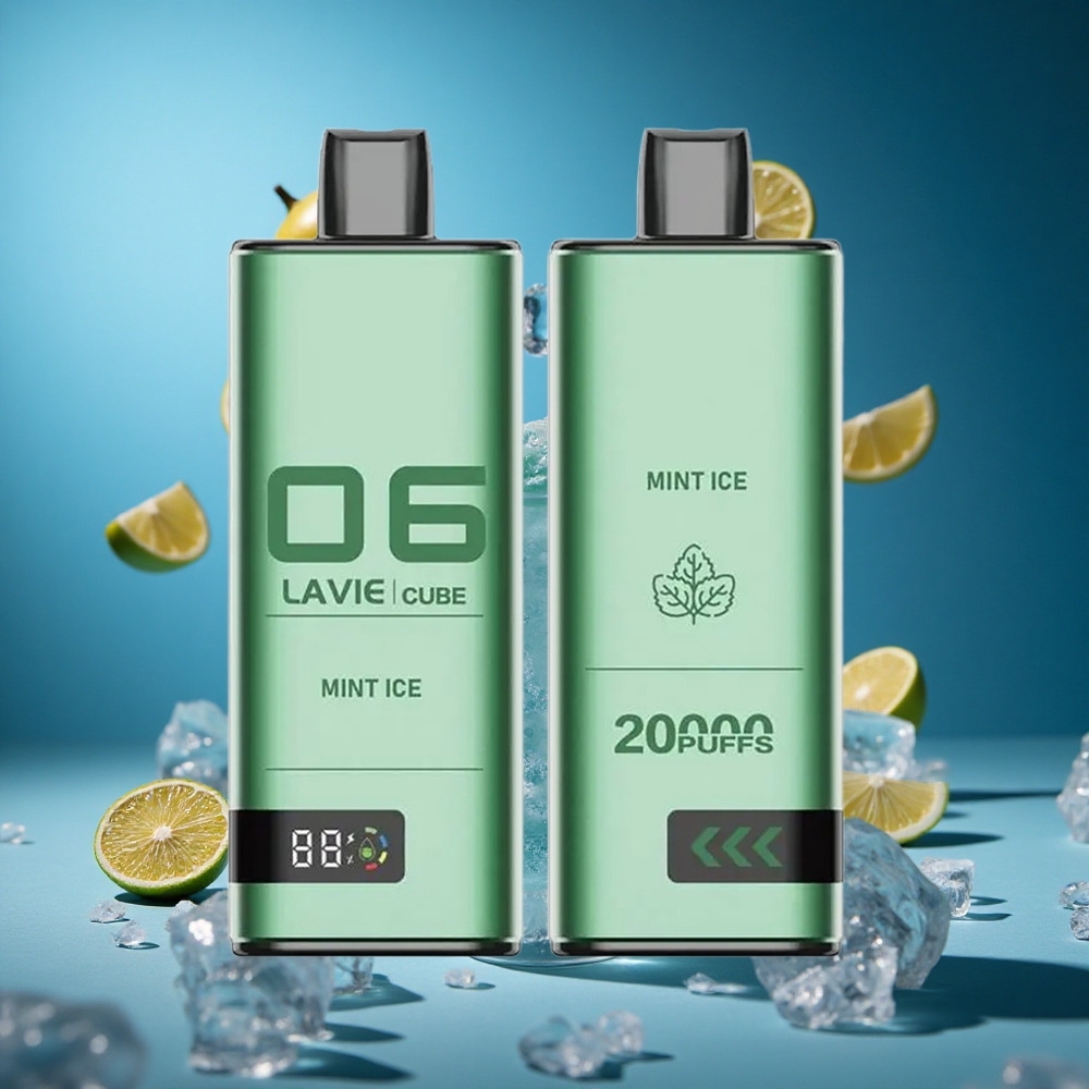 Lavie Cube 20000 Puffs Za enkratno uporabo Vape Mrazni Menta Slovenija vapes