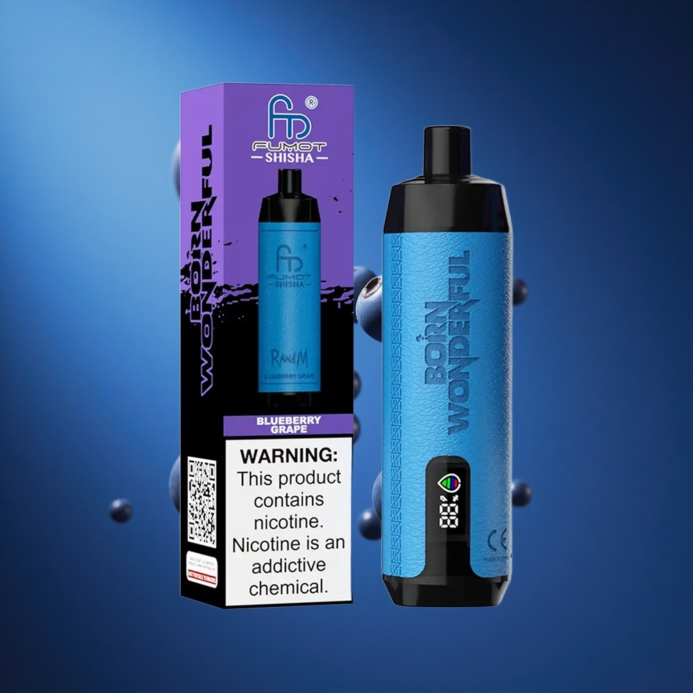 RandM Fumot Shisha 10000 Puffs Za enkratno uporabo Vape Borovnica Grozdje Slovenija vapes