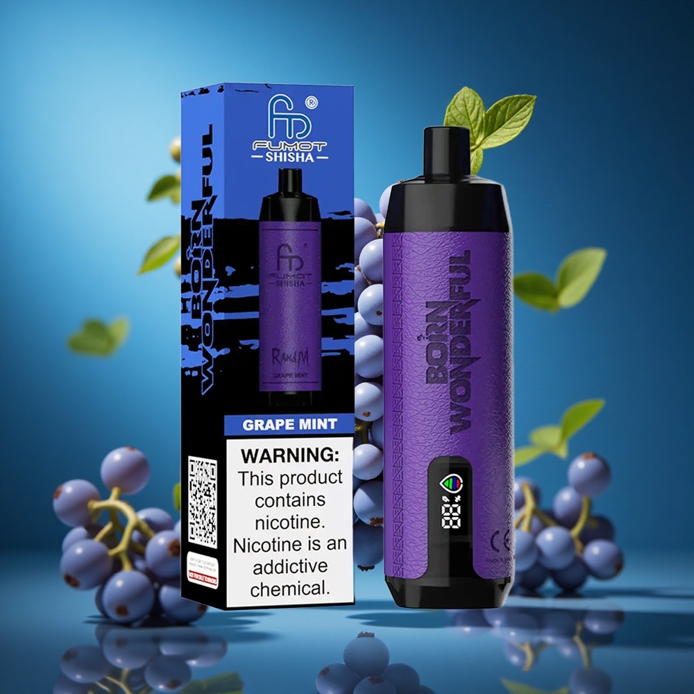 RandM Fumot Shisha 10000 Puffs Za enkratno uporabo Vape Grozdje Meta Slovenija vapes