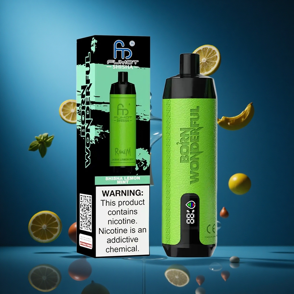 RandM Fumot Shisha 10000 Puffs Za enkratno uporabo Vape Limeta Menta Slovenija vapes