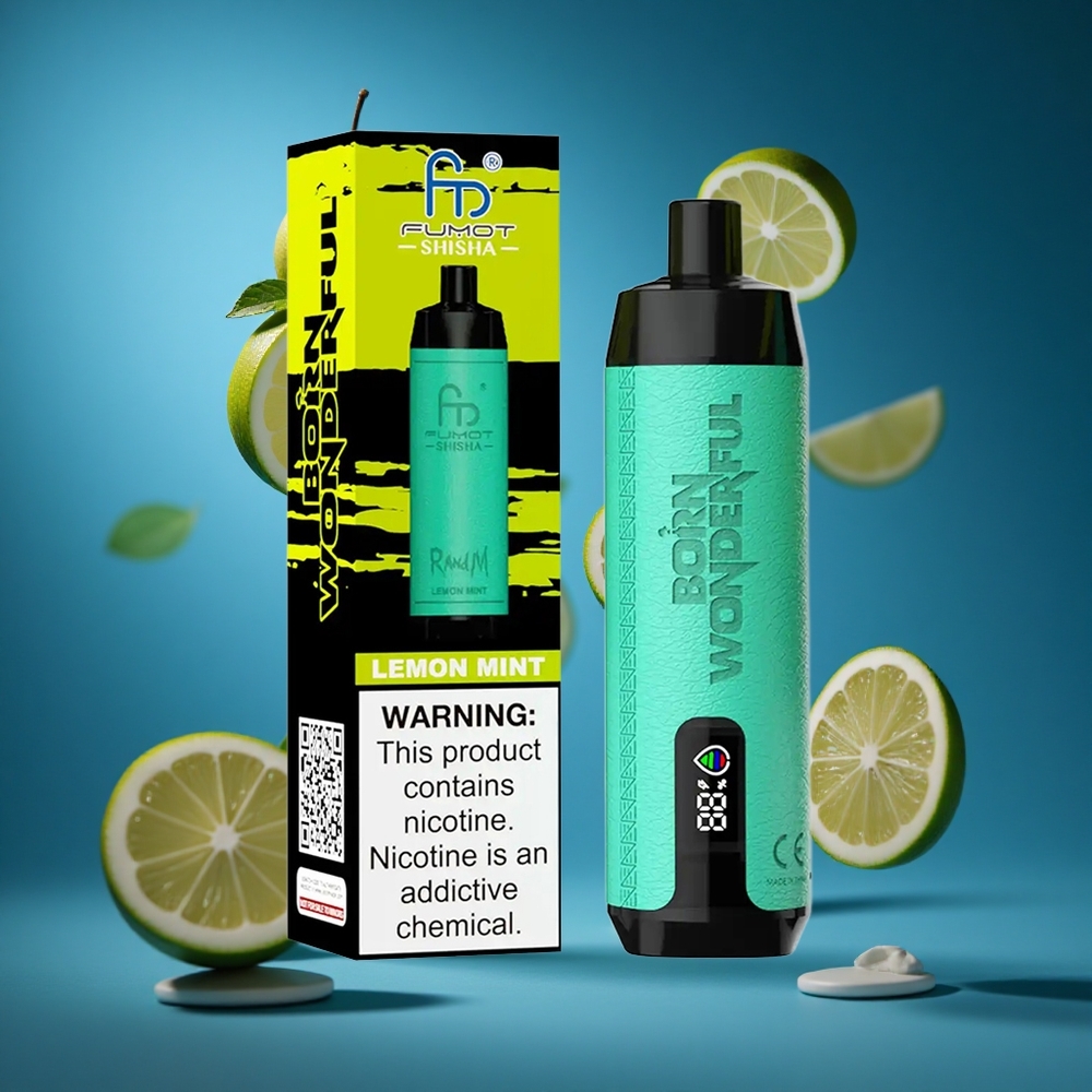 RandM Fumot Shisha 10000 Puffs Za enkratno uporabo Vape Limeta Meta 18ml Prednapolnjeno Slovenija vapes